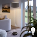 LED grīdas lampa TUNJA 1xE27/20W/230V Ø 38 cm melna/brūna