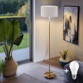 LED grīdas lampa TUNJA 1xE27/20W/230V Ø 38 cm zelta/balta