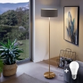 LED grīdas lampa TUNJA 1xE27/20W/230V Ø 38 cm zelta/brūna