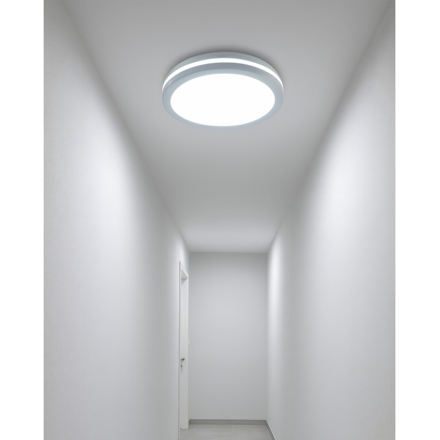 LED vannas istabas griestu gaismeklis ar kustības sensoru LED/20W/230V 3000/4000/6500K Ø 23 cm IP54 balta