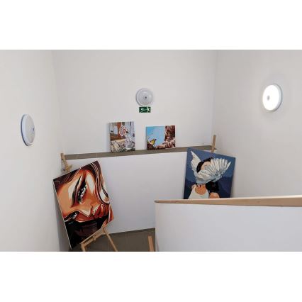 LED griestu gaismeklis ar kustības un krēslas sensoru LED/16W/230V Ø 29 cm balts