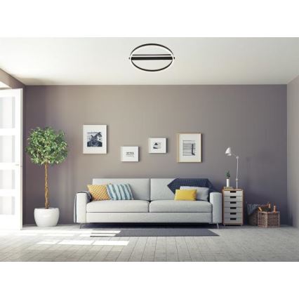 LED griestu gaismeklis ar regulējamu spilgtumu LED/60W/230V 3000-6500K + tālvadība