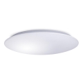 LED Griestu gaismeklis AVESTA LED/45W/230V IP54