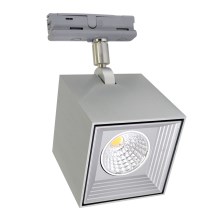 LED griestu gaismeklis DAU SPOT MONOFASE LED/10W/230V
