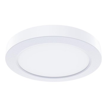 LED griestu gaismeklis EVORA LED/6W/230V 3000/4000/6000K Ø 14 cm balts