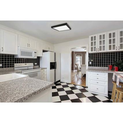 LED Griestu gaismeklis FENIX LED/18W/230V 3800K 22,5 cm