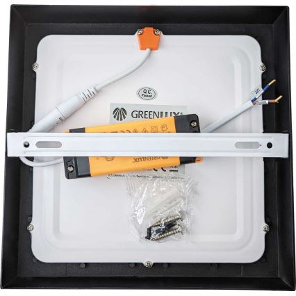 LED Griestu gaismeklis FENIX LED/18W/230V 3800K 22,5 cm