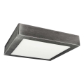 LED Griestu gaismeklis FENIX LED/24W/230V 2800K 29,8 cm