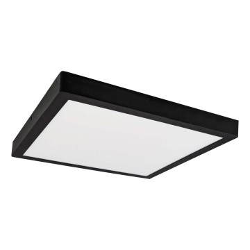 LED Griestu gaismeklis FENIX LED/24W/230V 3800K 29,8 cm