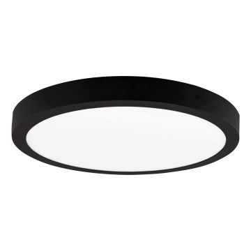 LED Griestu gaismeklis FENIX LED/24W/230V 3800K d. 29,8 cm