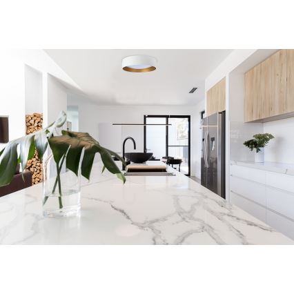 LED griestu lampa GALAXY LED/24W/230V Ø 44 cm balta/zelta