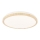 LED griestu gaismeklis GANDAVA LED/18W/230V