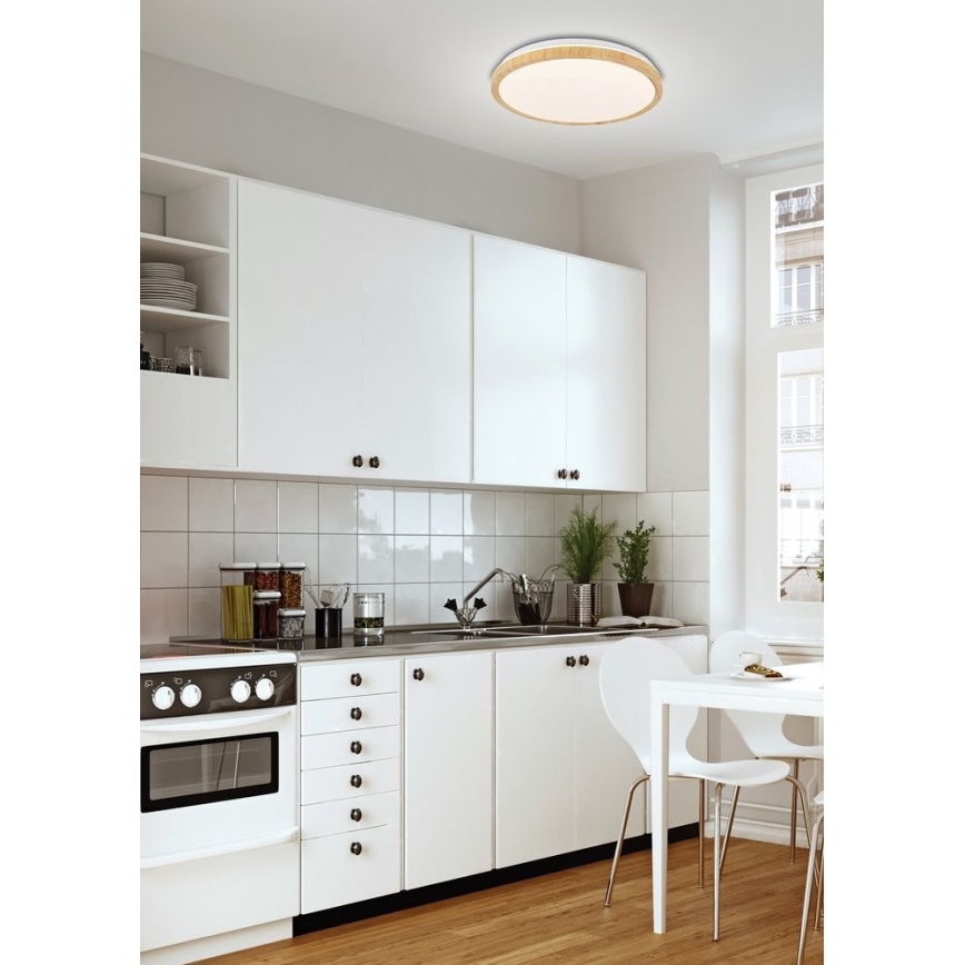 LED griestu gaismeklis GANDAVA LED/24W/230V