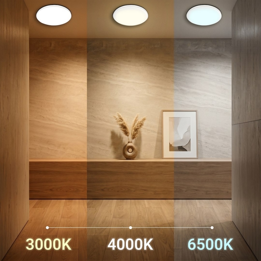 LED griestu gaismeklis HUGO LED/12/18/24W/230V 3000/4000/6500K Ø 30 cm IP54 balta