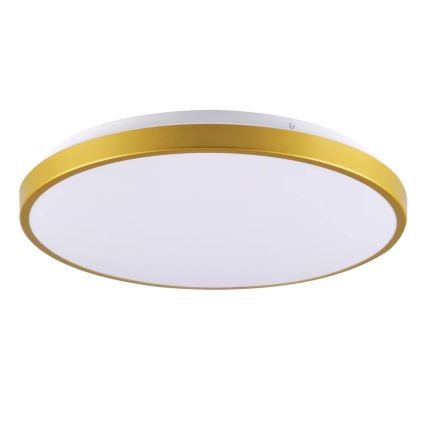LED Griestu gaismeklis KERN LED/15W/230V d. 29 cm