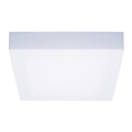 LED griestu gaismeklis LED/12W/230V 3000/4000/6000K 17x17 cm balts