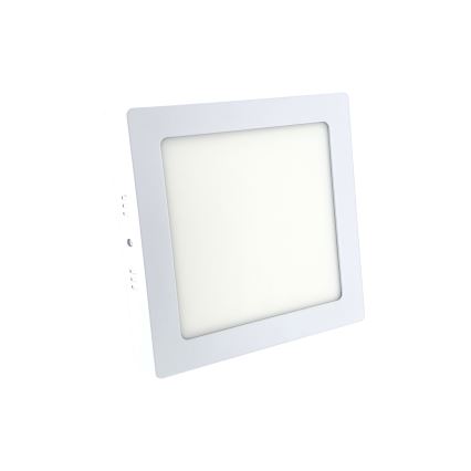 LED griestu gaismeklis LED/12W/230V 6500K