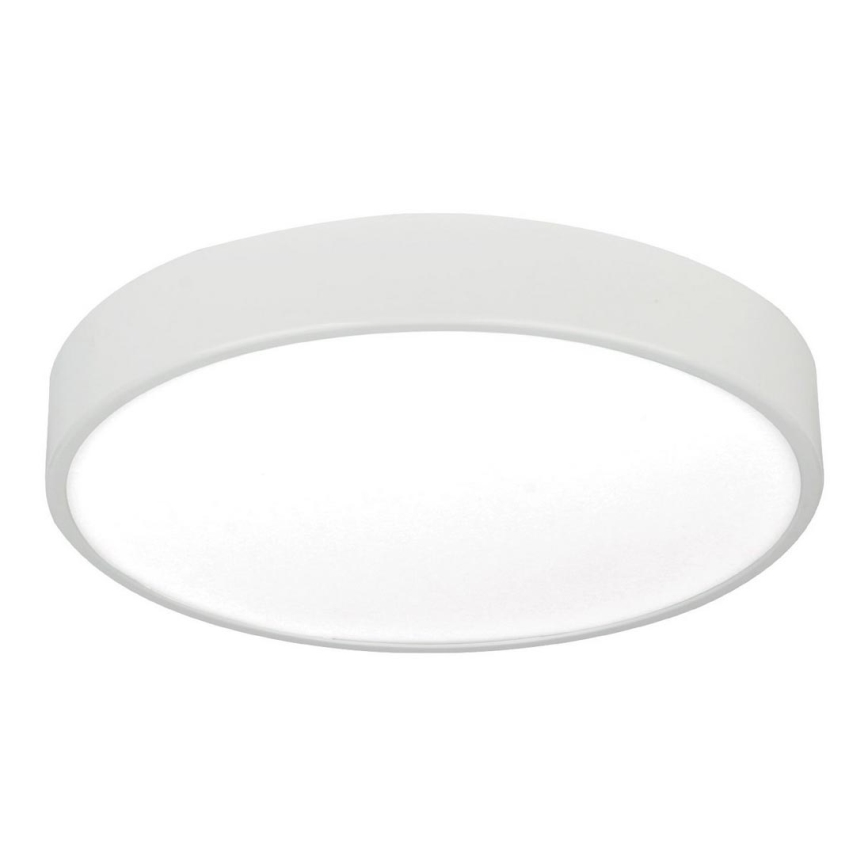 LED griestu gaismeklis LED/12W/230V