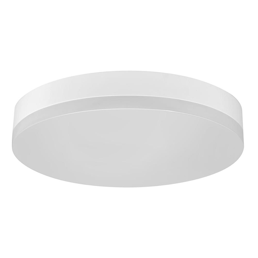 LED Griestu gaismeklis LED/12W/230V IP44