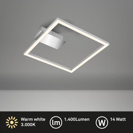 LED griestu gaismeklis LED/14W/230V matēts hroms