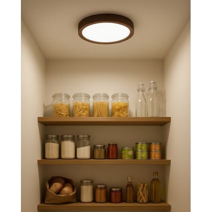 LED griestu gaismeklis LED/18W/230V 3000/4000/6500K Ø 23 cm brūns