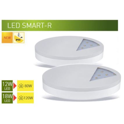 LED griestu gaismeklis LED/18W/230V