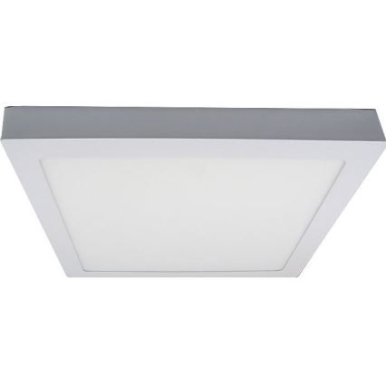 LED griestu gaismeklis LED/24W/230V 3000K