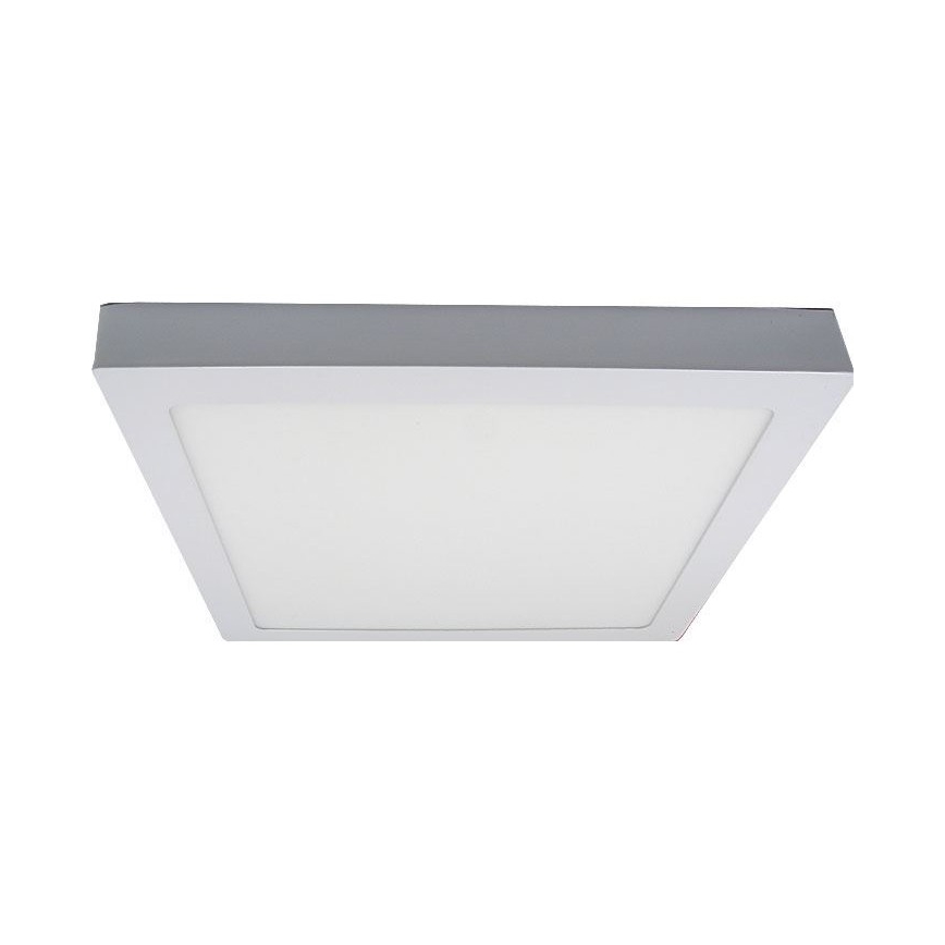 LED griestu gaismeklis LED/24W/230V 3000K