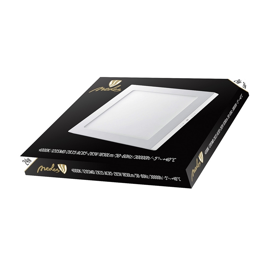 LED griestu gaismeklis LED/24W/230V 4000K