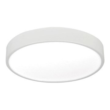 LED griestu gaismeklis LED/24W/230V