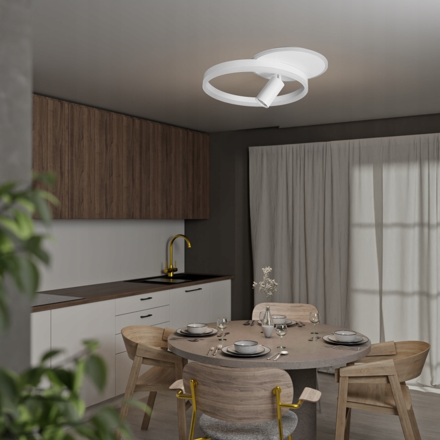 LED griestu gaismeklis LED/38W/230V + 1xGU10/30W balts