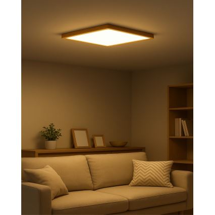 LED griestu gaismeklis LED/40W/230V 3000/4000/6500K 50x50 cm bēšs