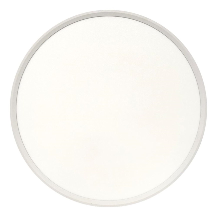 LED griestu gaismeklis LED/40W/230V 3000/4000/6500K Ø 50 cm balts