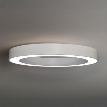 LED griestu gaismeklis LED/80W/230V 3000/4000/6500K Ø 80 cm balts