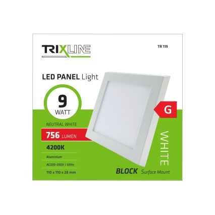 LED griestu gaismeklis LED/9W/230V 4200K