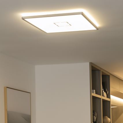 LED griestu gaismeklis LENNA LED/22W/230V 4000K