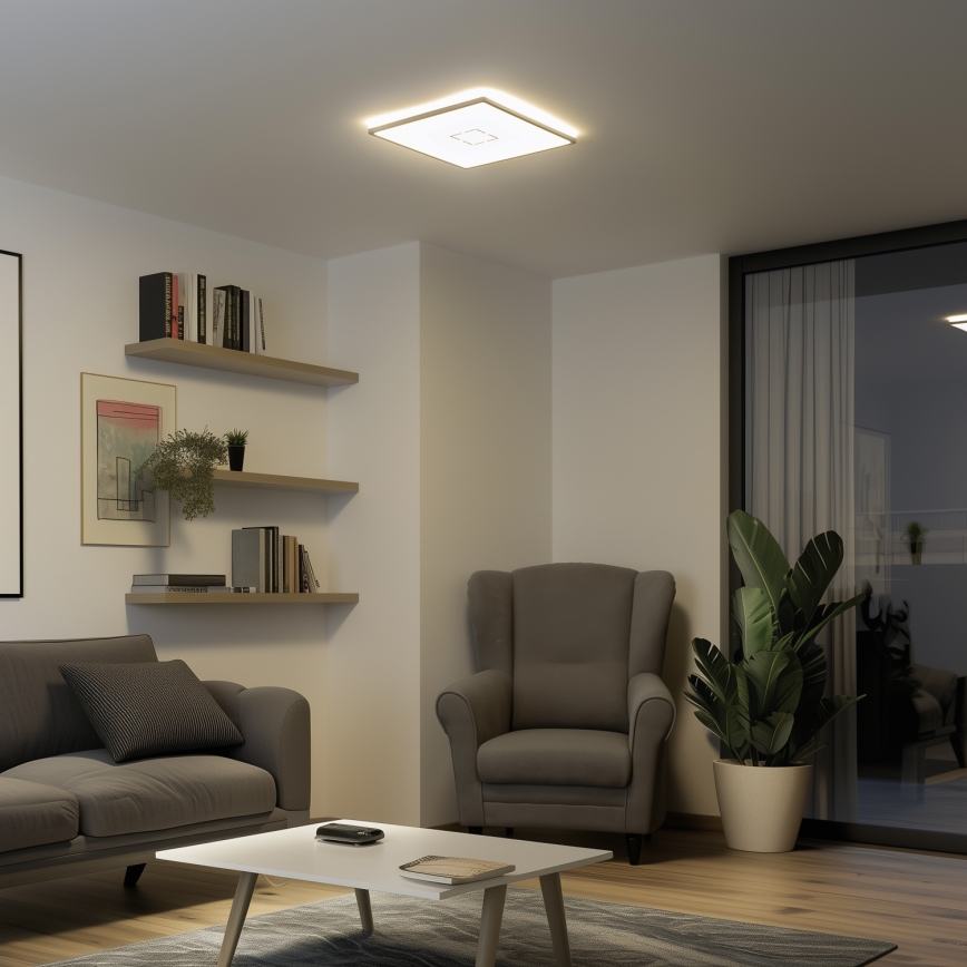LED griestu gaismeklis LENNA LED/22W/230V 4000K