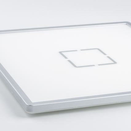 LED griestu gaismeklis LENNA LED/22W/230V 4000K