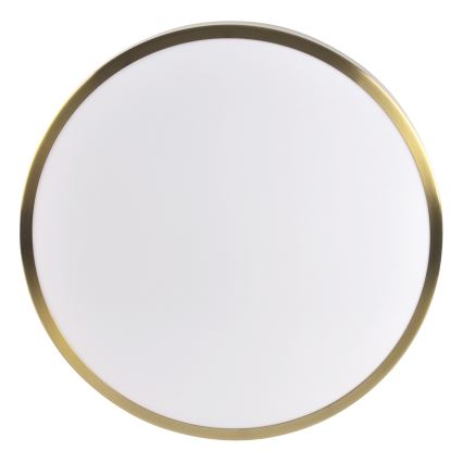 LED griestu gaismeklis LIBRA LED/15W/230V 4000K Ø 29 cm zeltains