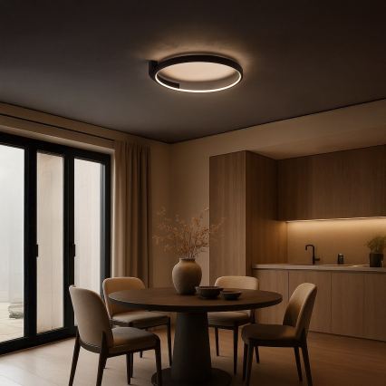 LED griestu gaismeklis LUNA LED/18W/230V Ø 42,5 cm melns