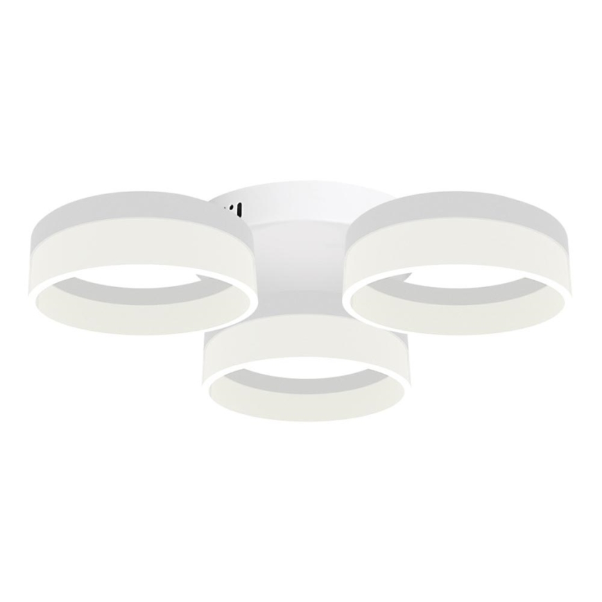 LED griestu gaismeklis RING 3xLED/12W/230V Balts