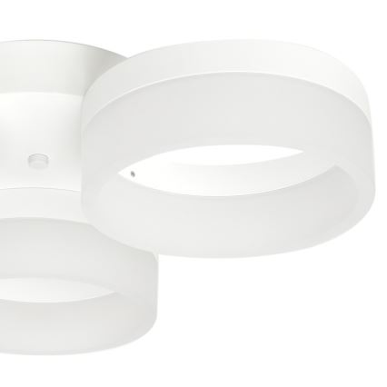 LED griestu gaismeklis RING 3xLED/12W/230V Balts