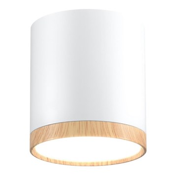 LED Griestu gaismeklis TUBA LED/5W/230V balts/bēšs