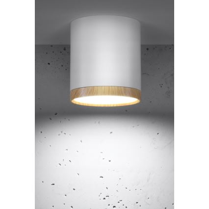 LED Griestu gaismeklis TUBA LED/5W/230V balts/bēšs
