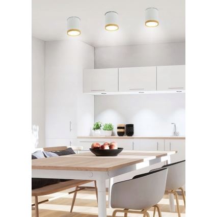 LED Griestu gaismeklis TUBA LED/5W/230V balts/bēšs