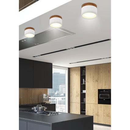 LED Griestu gaismeklis TUBA LED/9W/230V balts/bēšs