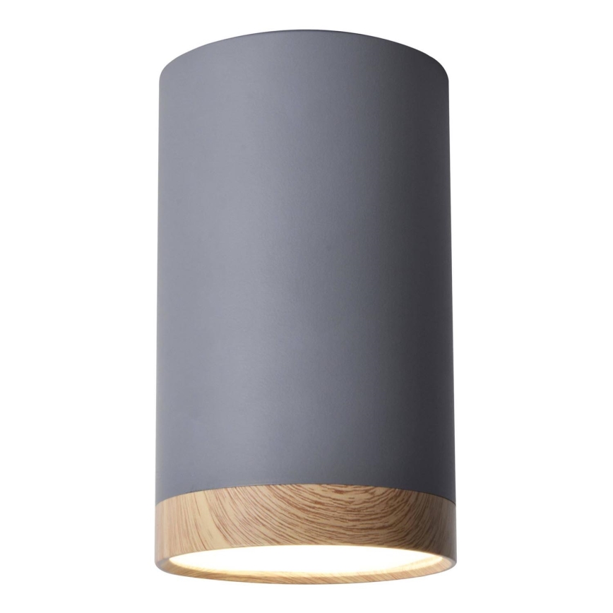 LED Griestu gaismeklis TUBA LED/9W/230V