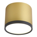 LED Griestu gaismeklis TUBA LED/9W/230V