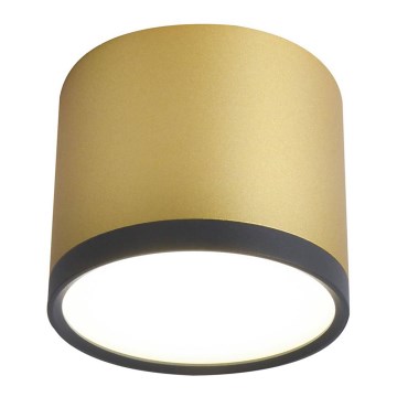 LED Griestu gaismeklis TUBA LED/9W/230V