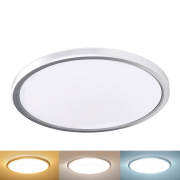 LED griestu gaismeklis vannas istabai ACATE, 24 W, 230 V, 3000/4000/6000 K, Ø 29,3 cm, IP54